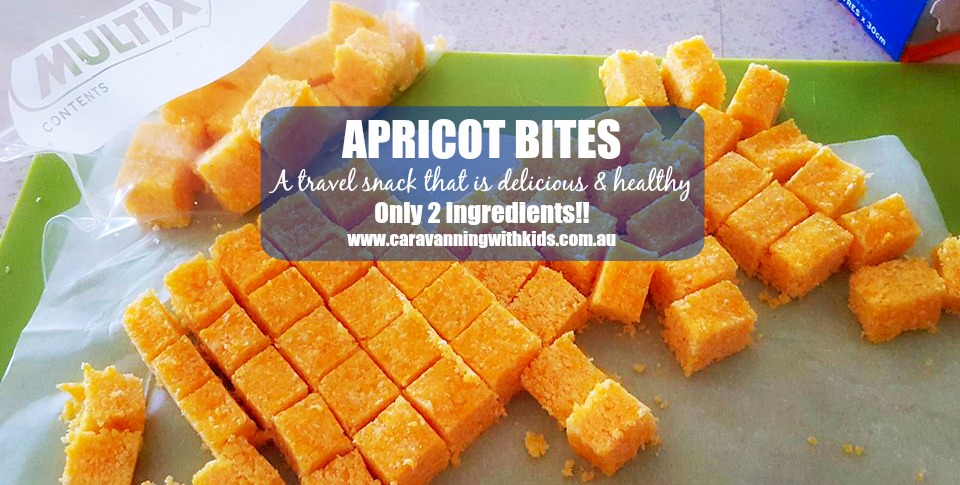 Apricot Bites…only 2 ingredients!!