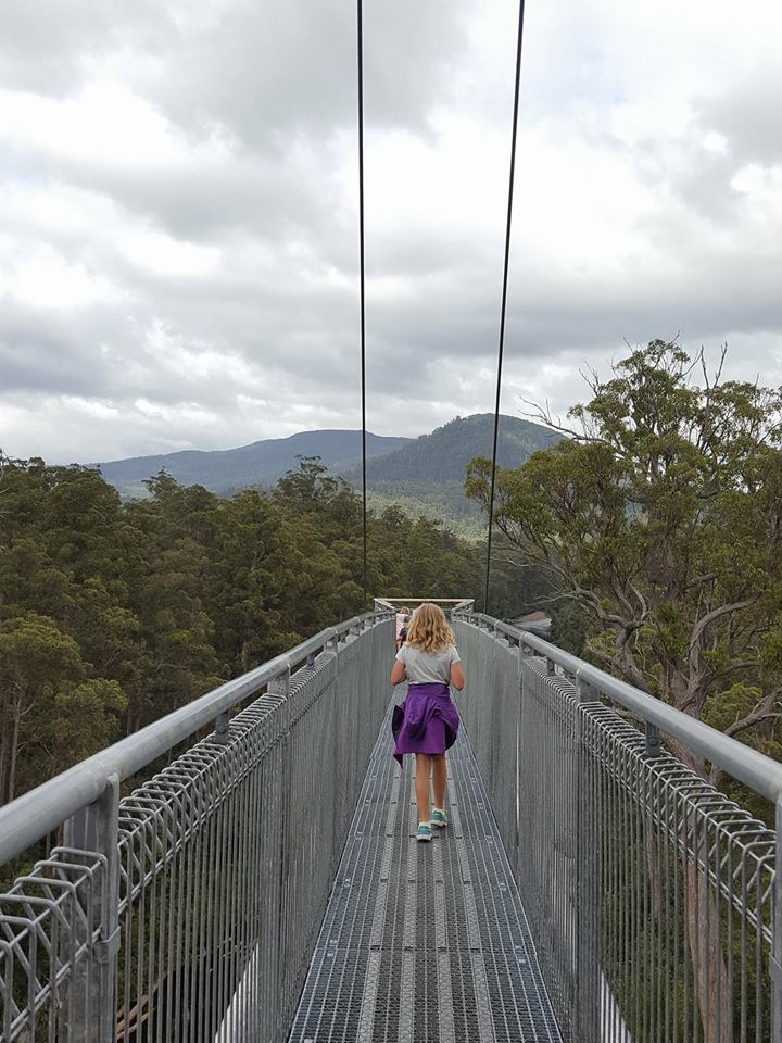 tasmania road trip with toddler