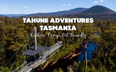 Tahune Adventures Tasmania